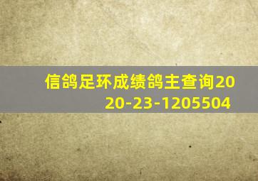 信鸽足环成绩鸽主查询2020-23-1205504