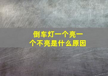 倒车灯一个亮一个不亮是什么原因