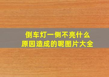 倒车灯一侧不亮什么原因造成的呢图片大全