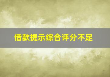 借款提示综合评分不足