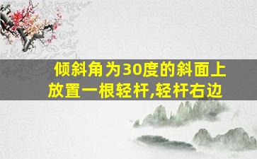 倾斜角为30度的斜面上放置一根轻杆,轻杆右边