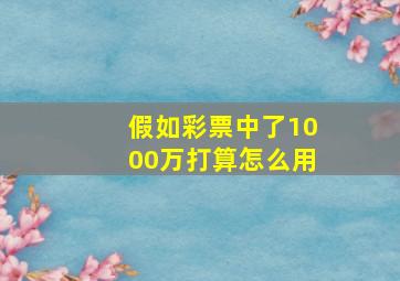 假如彩票中了1000万打算怎么用