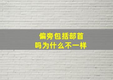 偏旁包括部首吗为什么不一样