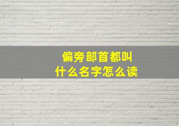 偏旁部首都叫什么名字怎么读