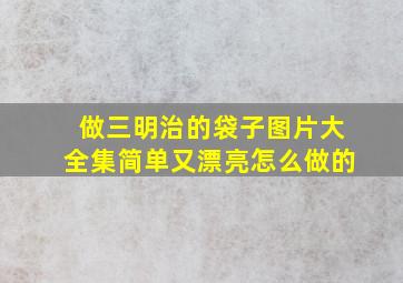 做三明治的袋子图片大全集简单又漂亮怎么做的