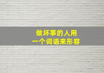 做坏事的人用一个词语来形容