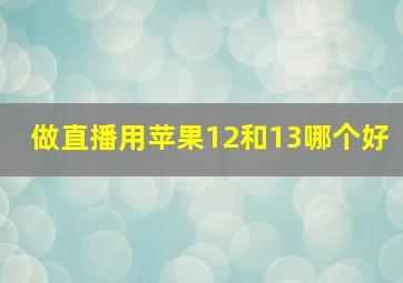 做直播用苹果12和13哪个好