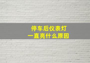 停车后仪表灯一直亮什么原因