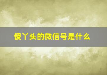 傻丫头的微信号是什么