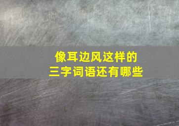 像耳边风这样的三字词语还有哪些