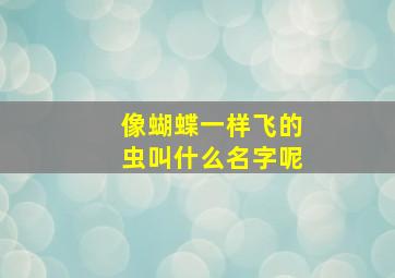 像蝴蝶一样飞的虫叫什么名字呢