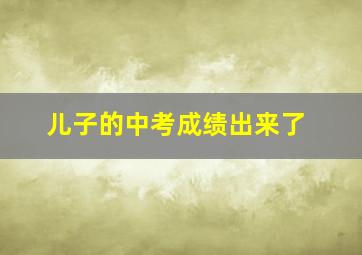 儿子的中考成绩出来了