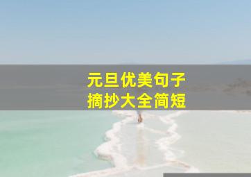 元旦优美句子摘抄大全简短