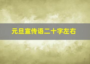 元旦宣传语二十字左右