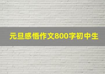 元旦感悟作文800字初中生