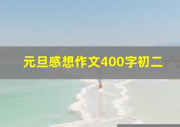 元旦感想作文400字初二