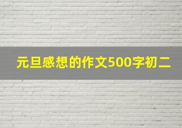 元旦感想的作文500字初二