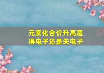 元素化合价升高是得电子还是失电子