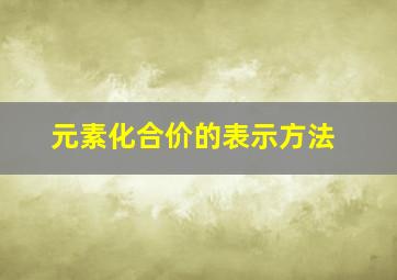 元素化合价的表示方法