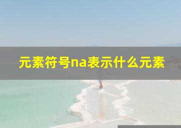 元素符号na表示什么元素