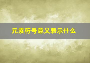 元素符号意义表示什么