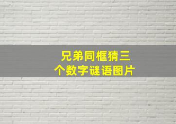 兄弟同框猜三个数字谜语图片