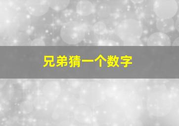 兄弟猜一个数字