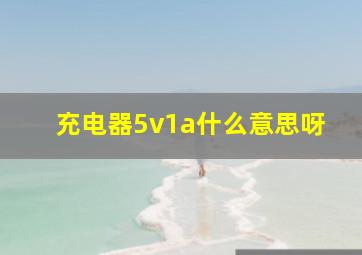 充电器5v1a什么意思呀