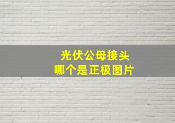 光伏公母接头哪个是正极图片