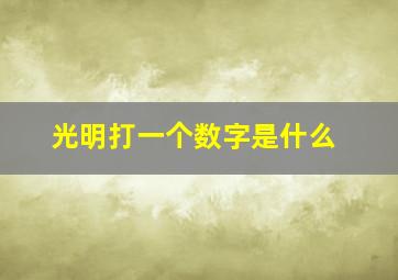 光明打一个数字是什么