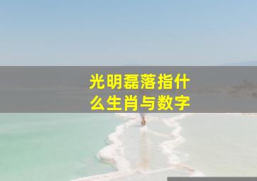 光明磊落指什么生肖与数字