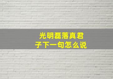 光明磊落真君子下一句怎么说