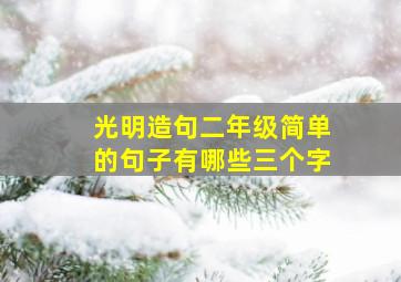 光明造句二年级简单的句子有哪些三个字