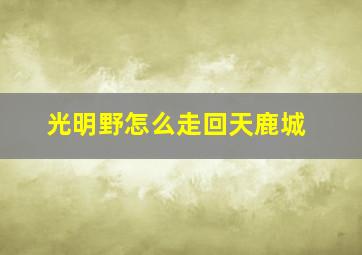 光明野怎么走回天鹿城