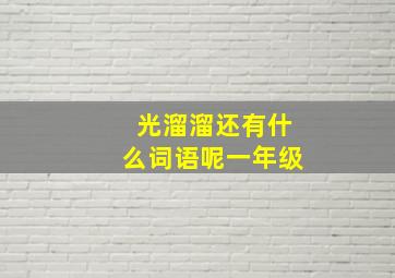 光溜溜还有什么词语呢一年级