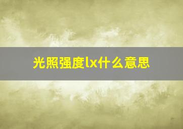 光照强度lx什么意思