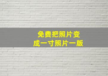 免费把照片变成一寸照片一版