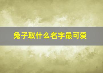 兔子取什么名字最可爱