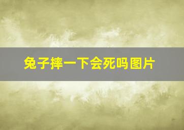 兔子摔一下会死吗图片