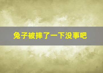 兔子被摔了一下没事吧