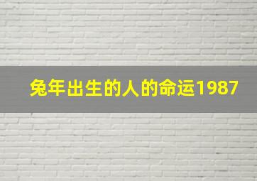 兔年出生的人的命运1987