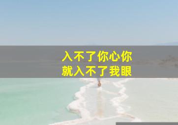 入不了你心你就入不了我眼