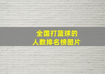 全国打篮球的人数排名榜图片