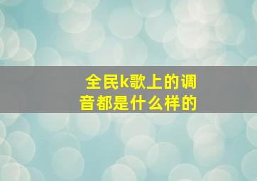 全民k歌上的调音都是什么样的