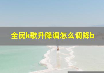 全民k歌升降调怎么调降b