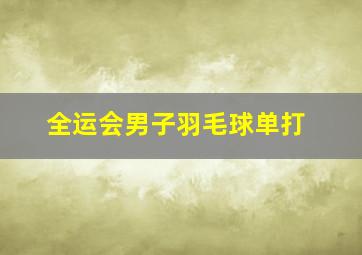 全运会男子羽毛球单打