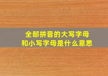 全部拼音的大写字母和小写字母是什么意思