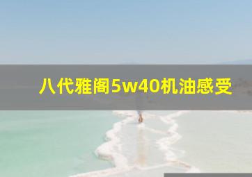 八代雅阁5w40机油感受