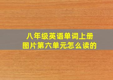 八年级英语单词上册图片第六单元怎么读的