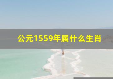 公元1559年属什么生肖